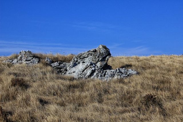 Skala ki spominja na živalsko glavo