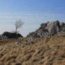 prepihana in s skalami posejana pokrajina