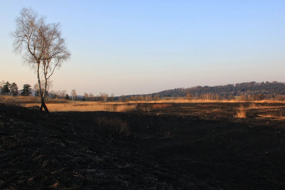 Kočevsko jezero - 19.3.2015 - foto povečava