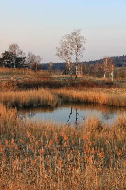 Kočevsko jezero - 19.3.2015 - foto