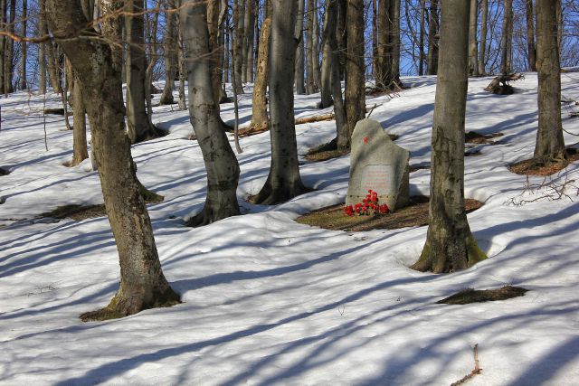 Partizanski spomenik v gozdu