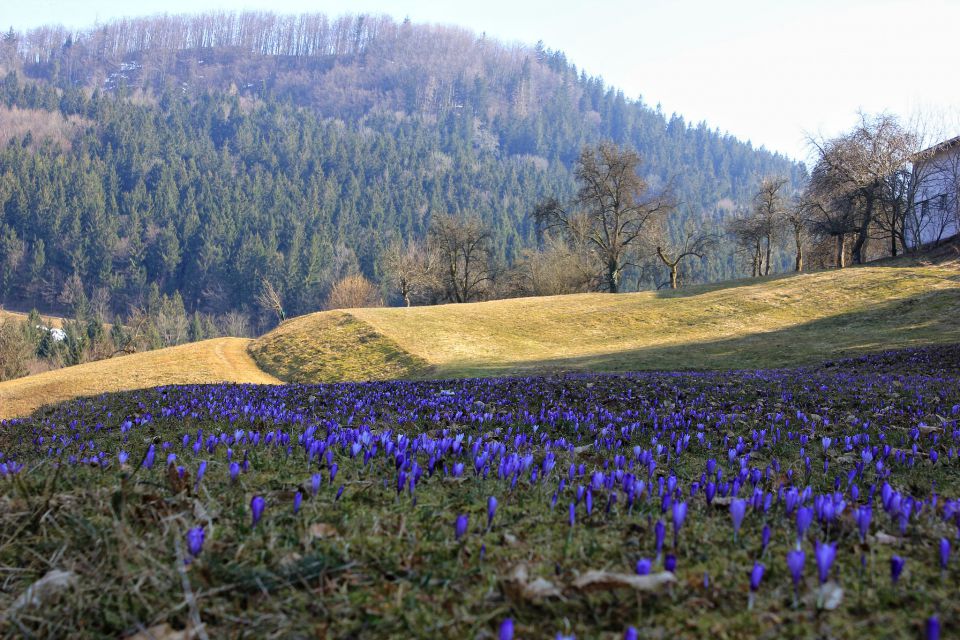 Čemšeniška planina – 21.3.2015 - foto povečava