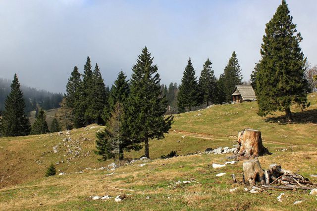 Planina konjščica...