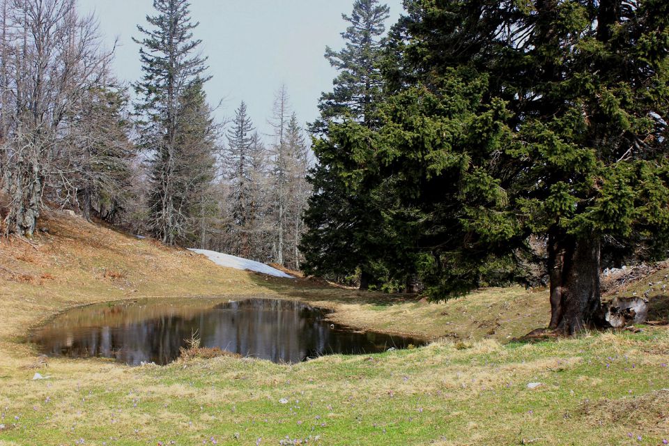 Velika planina – 25.4.2015 - foto povečava