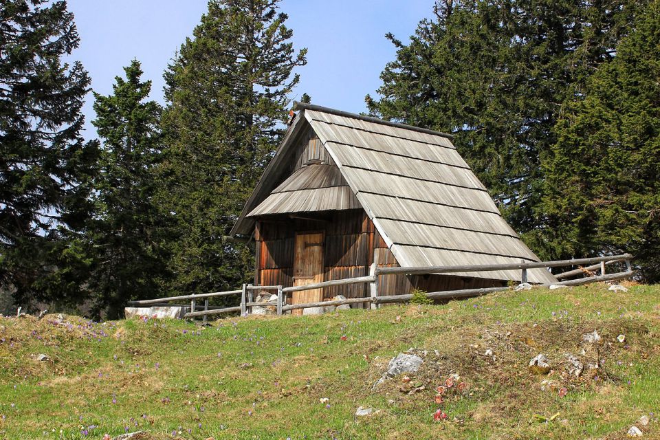 Velika planina – 25.4.2015 - foto povečava