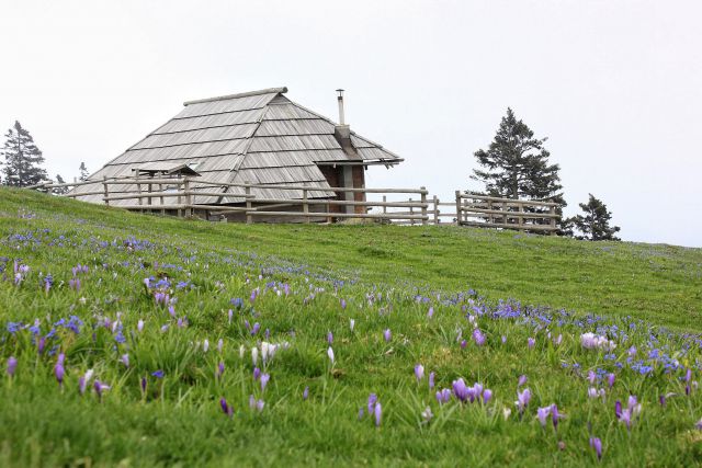 Velika planina – 25.4.2015 - foto