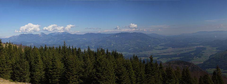 panorama z golega vrha