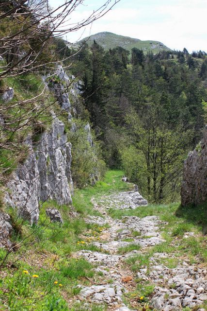 Stara napoleonova cesta v dolino