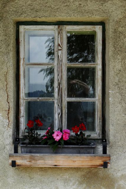 Gore, Kopitnik - 30.5.2015 - foto