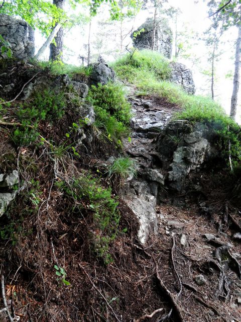 Skalnati del poti na vrh kopitnika