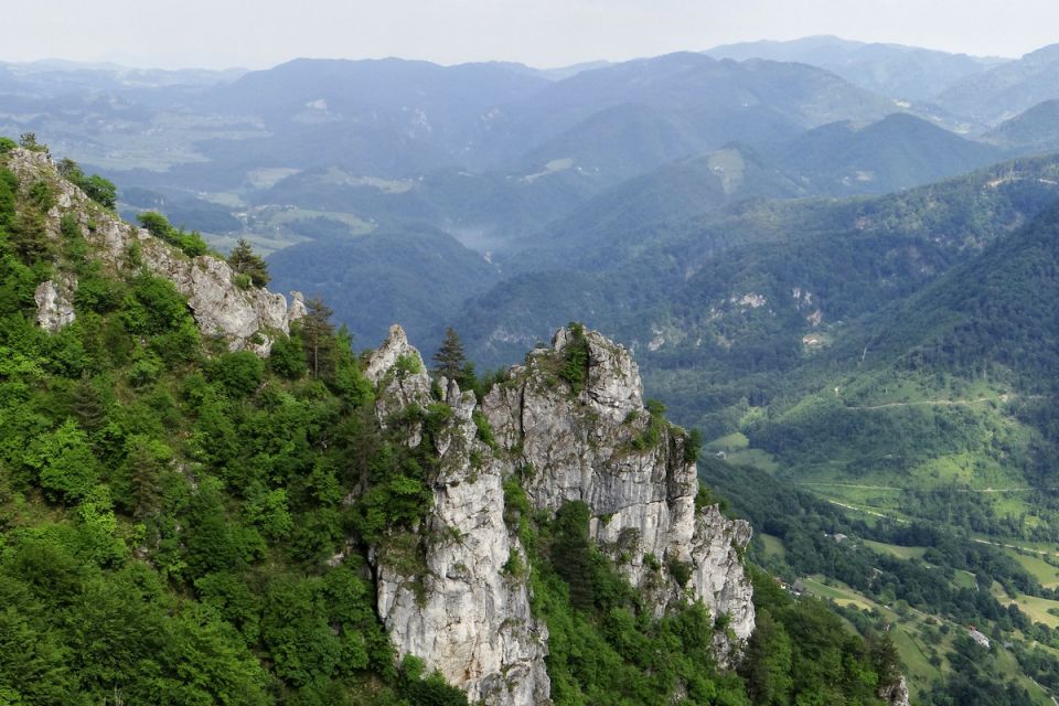 Gore, Kopitnik - 30.5.2015 - foto povečava