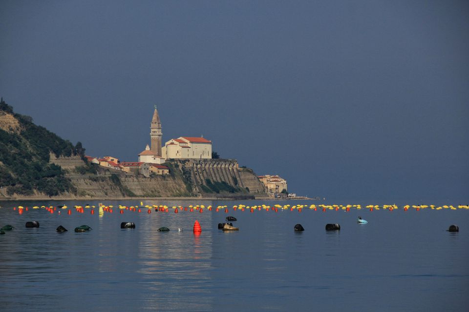 pogled na piransko cerkev iz strunjana