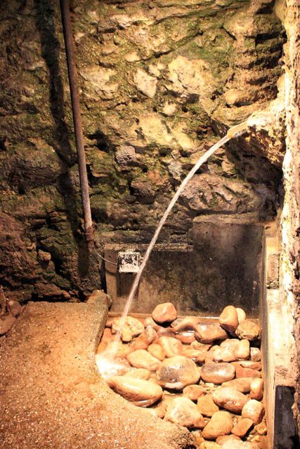 V kleti je izvir termalne vode, ki ima stalno 36 st. celzija
