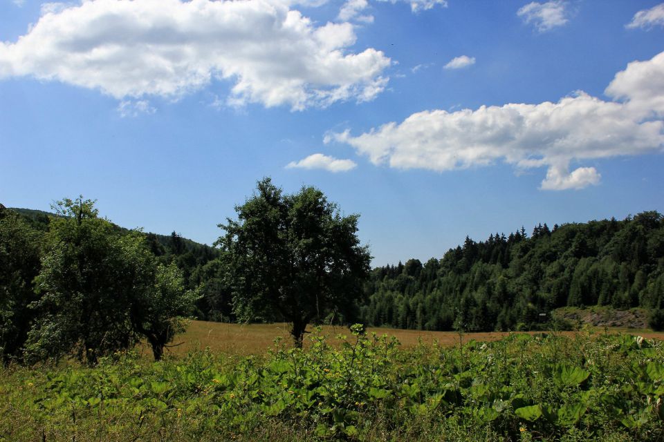 Nekdanje kočevarske vasi - 26.6.2015 - foto povečava