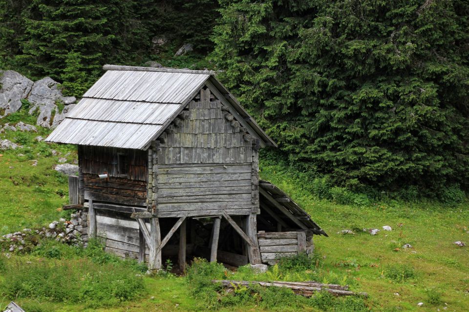 Bohinjske planine - 1.7.2015 - foto povečava