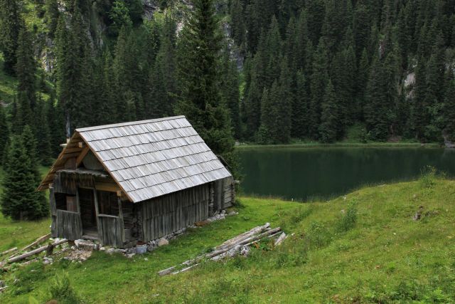 Bohinjske planine - 1.7.2015 - foto