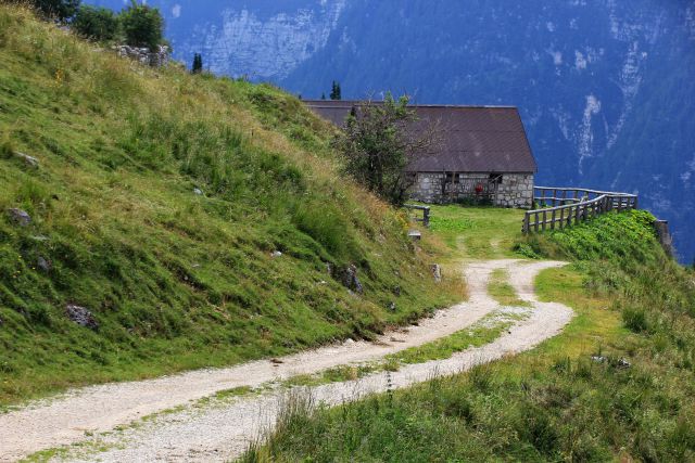 Planina zg. lariče