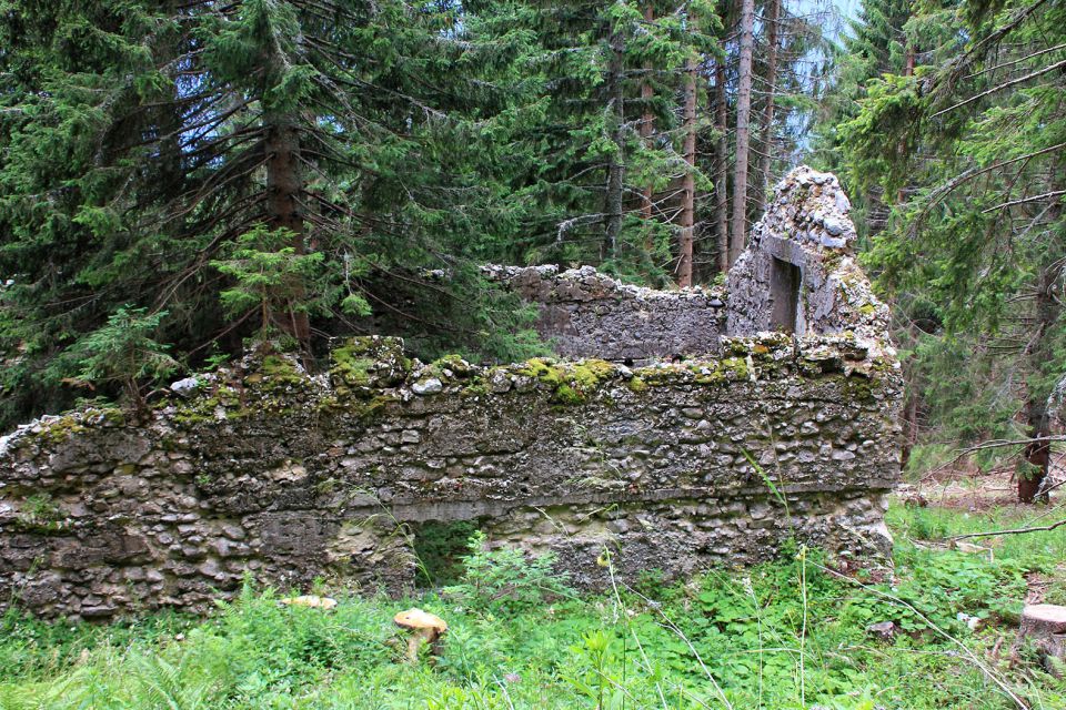 ruševine v gozdu pred planino krni dol