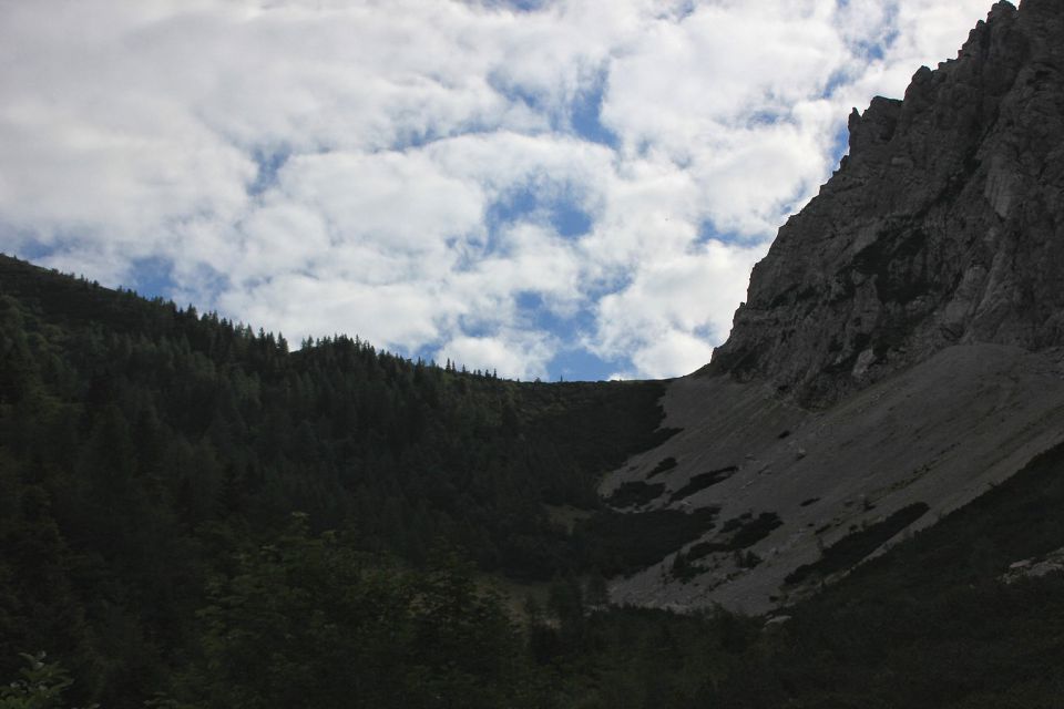 Planina Korošica-5.8.2015 - foto povečava