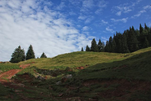 Planina Korošica-5.8.2015 - foto