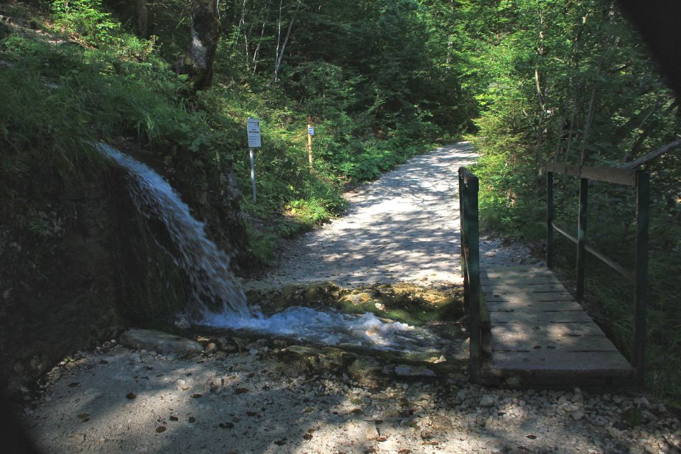 Soteska Čepa (Tscheppaschlucht)-8.8.2015 - foto povečava