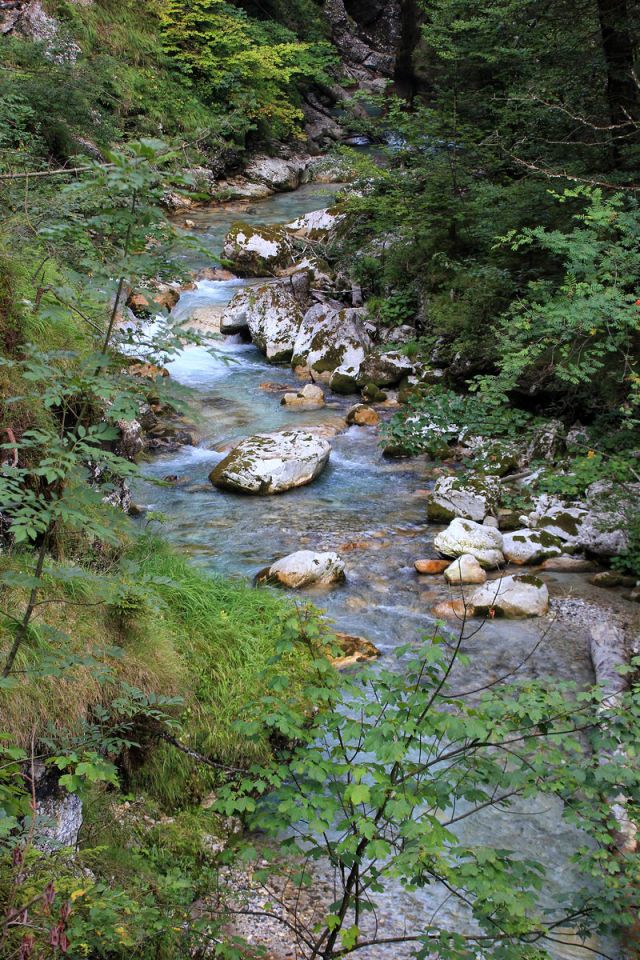 Soteska Čepa (Tscheppaschlucht)-8.8.2015 - foto povečava