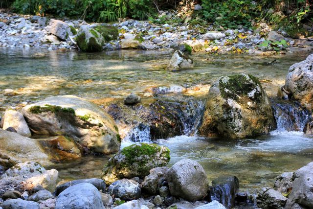 Soteska Čepa (Tscheppaschlucht)-8.8.2015 - foto