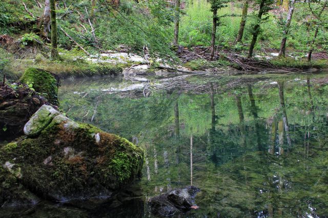 Podšteberk, Križna gora-18.8.2015 - foto