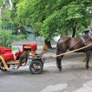 prevozno sredstvo na kopnem