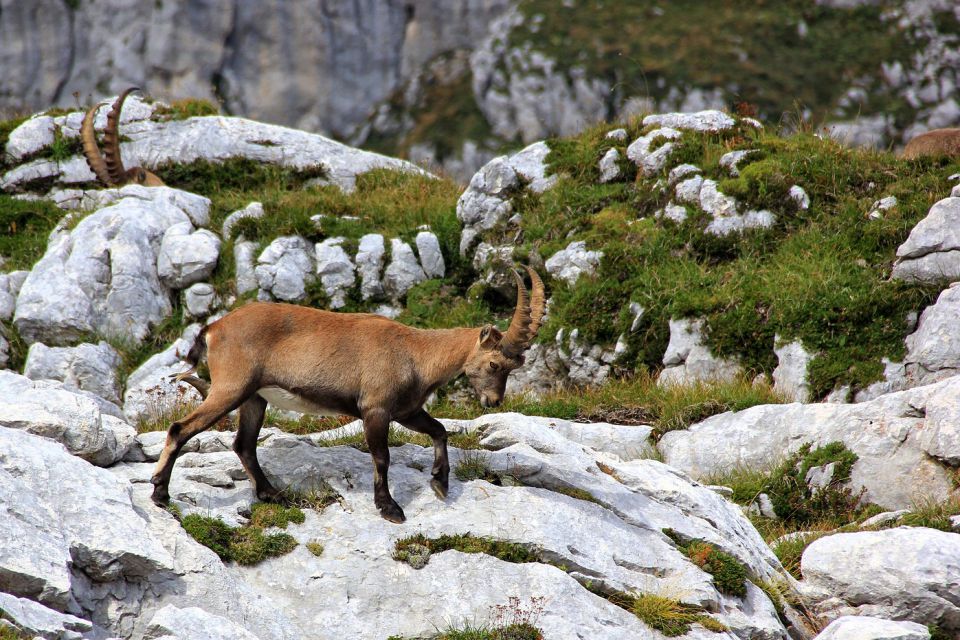 Vrh Grubje – 22.8.2015 - foto povečava