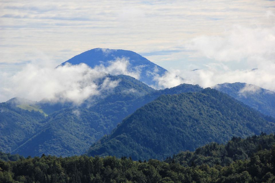 Limbarska gora – 6.9.2015 - foto povečava