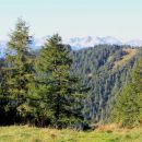 na sedlu nad plesiščem se odpre pogled na spodnje bohinjske gore