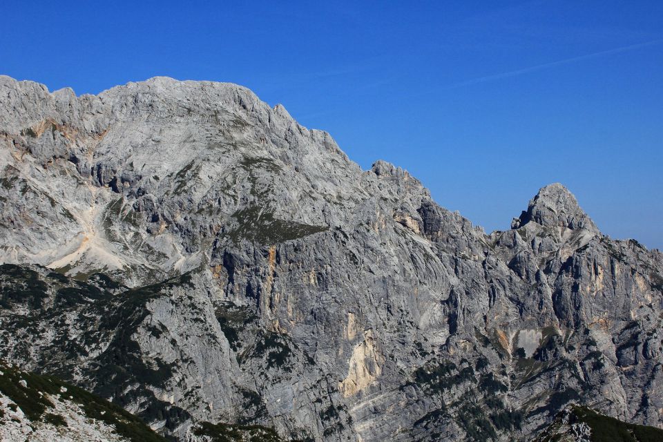 levo rjavina, desno visoka vrbanova špica