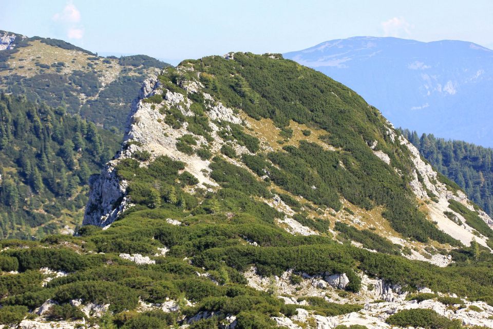 veliki selišnik, poti nanj nisva našli