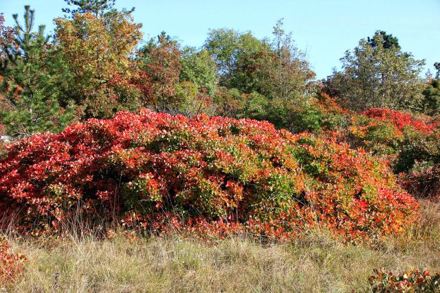 Kostanjevica na Krasu – Cerje – 17.10.2015 - foto