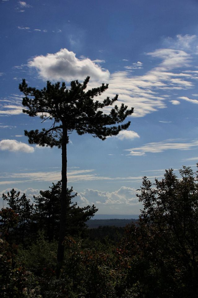 Kostanjevica na Krasu – Cerje – 17.10.2015 - foto povečava