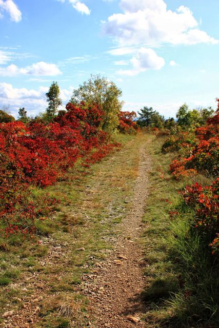 Kostanjevica na Krasu – Cerje – 17.10.2015 - foto