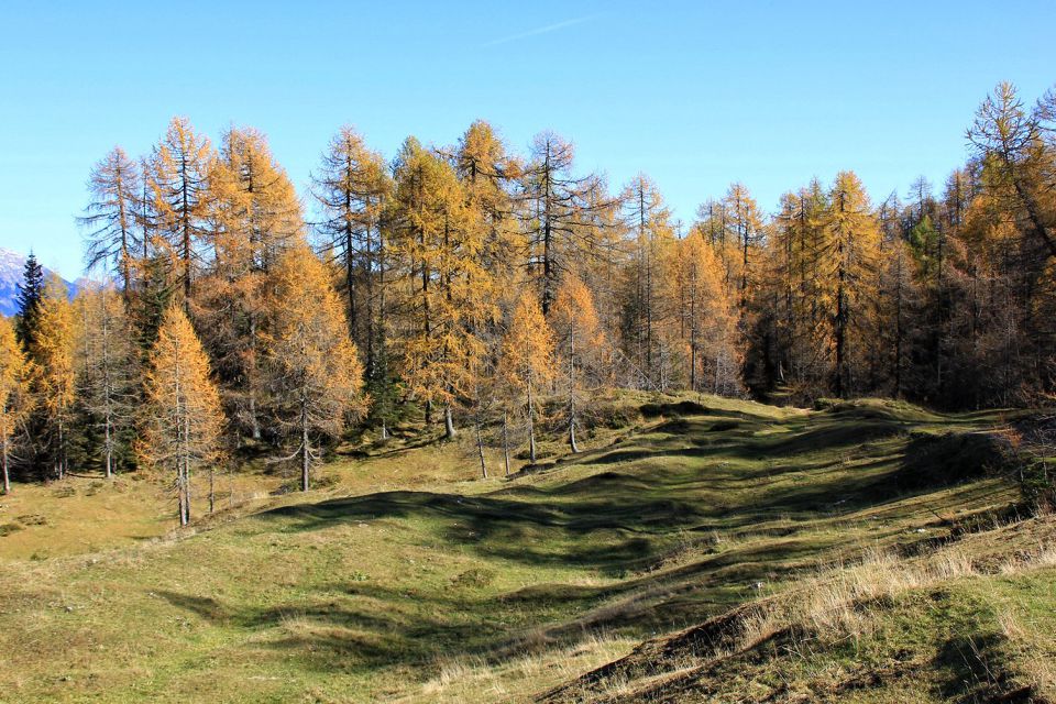 Vrh sedla – 24.10.2015 - foto povečava