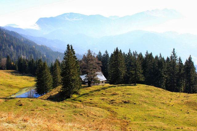 Pastirska koča na hruški (hruščanski) planini