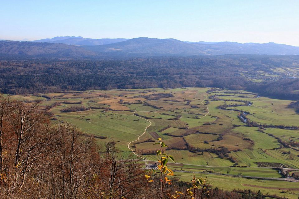 Grmada (Planinska gora)-4.11.2015 - foto povečava