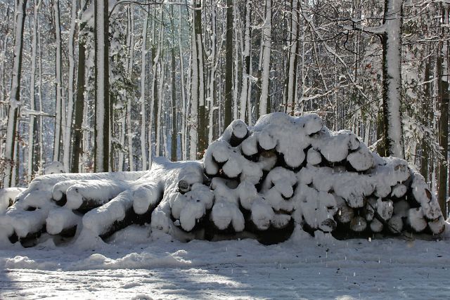 Planinska gora – 28.11.2015 - foto