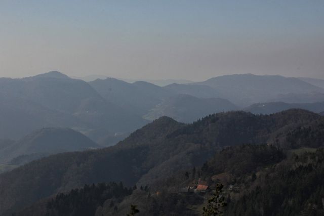 Pogled proti limbarski gori