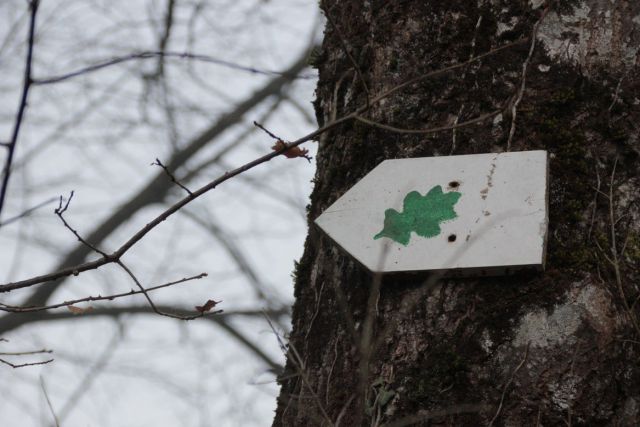 Hrastov list: oznaka velike krožne gozdne pešpoti kozice (14 km)