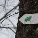 hrastov list: oznaka velike krožne gozdne pešpoti kozice (14 km)