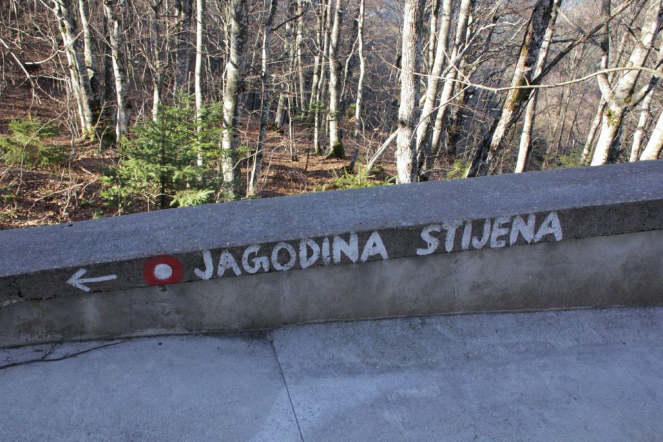 kakih 15 minut luštne stezice do jagodine stene...