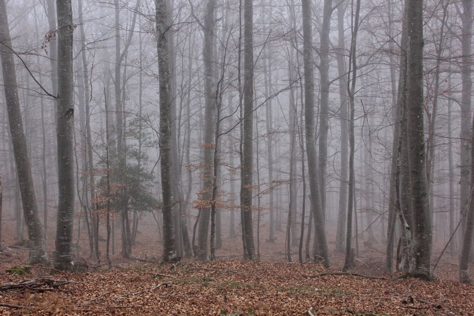 Peter hrib – 30.12.2015 - foto povečava