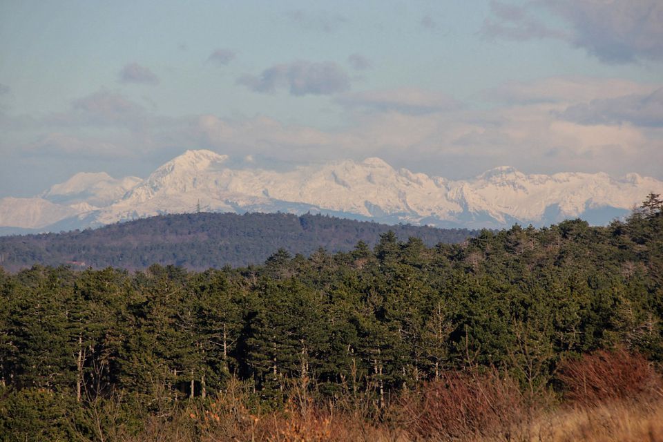 Tržaški kras 6. - 16.01.2016 - foto povečava