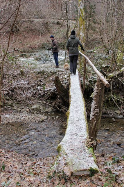 Brv čez potok med rajšelami in podstenami