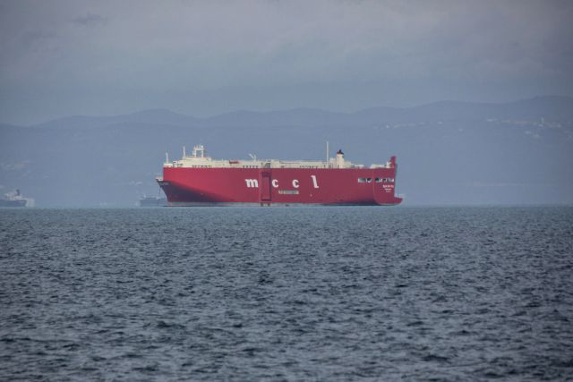 Škocjanski zatok - 6.3.2016 - foto