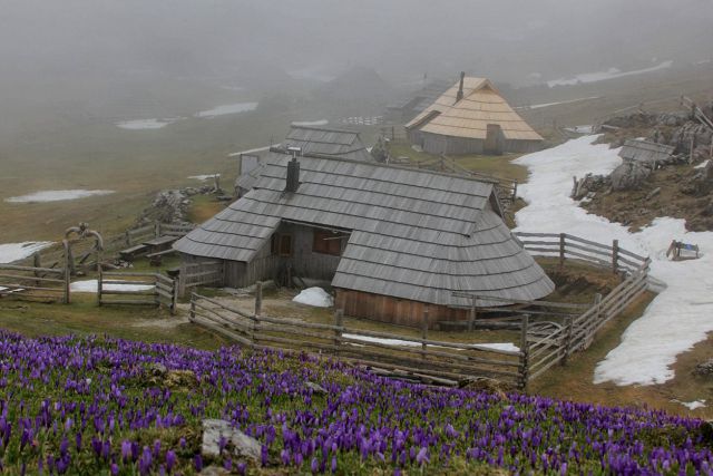 Velika planina – 10.4.2016 - foto